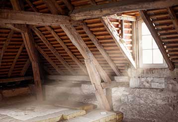 Attic Cleaning | Attic Cleaning Canoga Park, CA