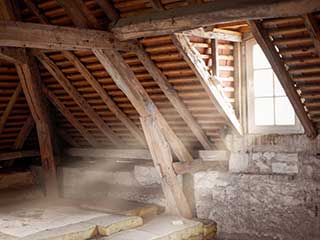 Cleaning | Attic Cleaning Canoga Park, CA Cleaning | Attic Cleaning Canoga Park, CA
