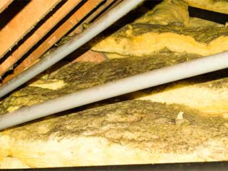 Insulation Removal | Attic Cleaning Canoga Park, CA Insulation Removal | Attic Cleaning Canoga Park, CA