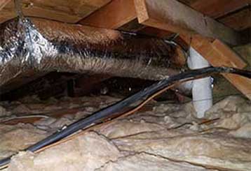 Crawl Space Cleaning | Attic Cleaning Canoga Park, CA