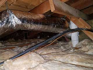 Crawl Space | Attic Cleaning Canoga Park, CA Crawl Space | Attic Cleaning Canoga Park, CA