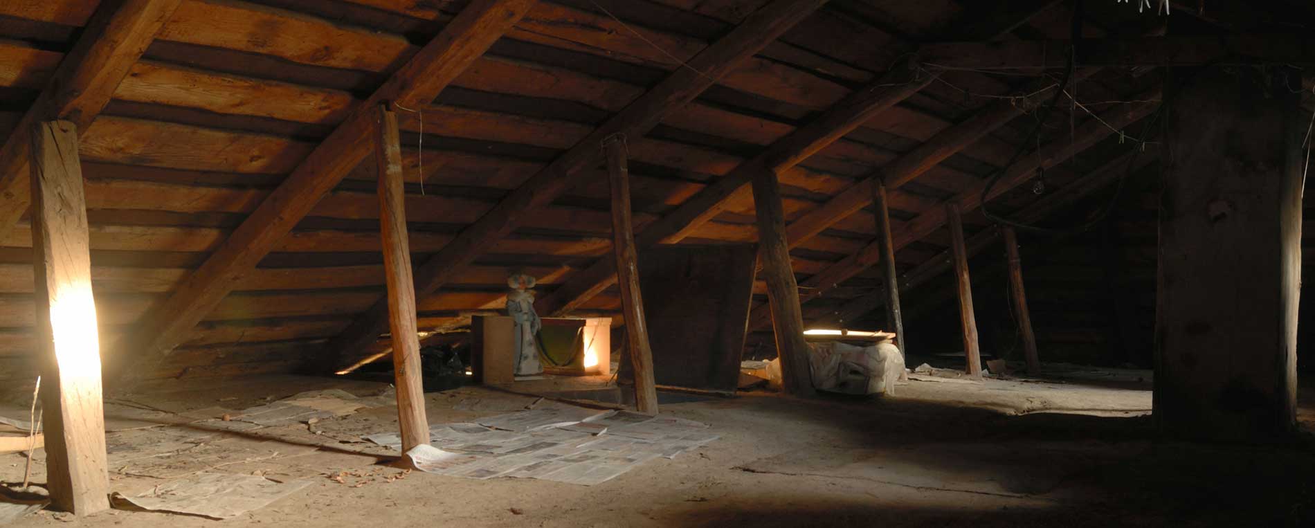 Attic Cleaning Canoga Park, CA