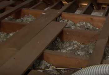 Rodent Proofing in Calabasas | Attic Cleaning Canoga Park